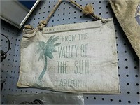 From the Valley of the Sun water bag