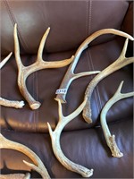 Set 2 of deer antlers