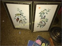 INTERCRAFT PRINTS OF EXOTIC BIRDS