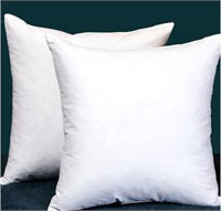 Set of 2, Square Decorative Throw Pillows Inserts