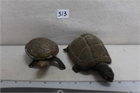 NEAT SMALL TURTLES