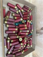 Flat of various shotgun shells mostly 12 ga
