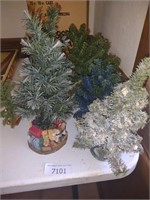 Mini Christmas tree lot