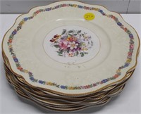 Johnson Bros Pareek Dubarry Plates