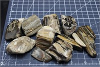 Polished Petrified Wood Tumbles, 1lbs 4oz