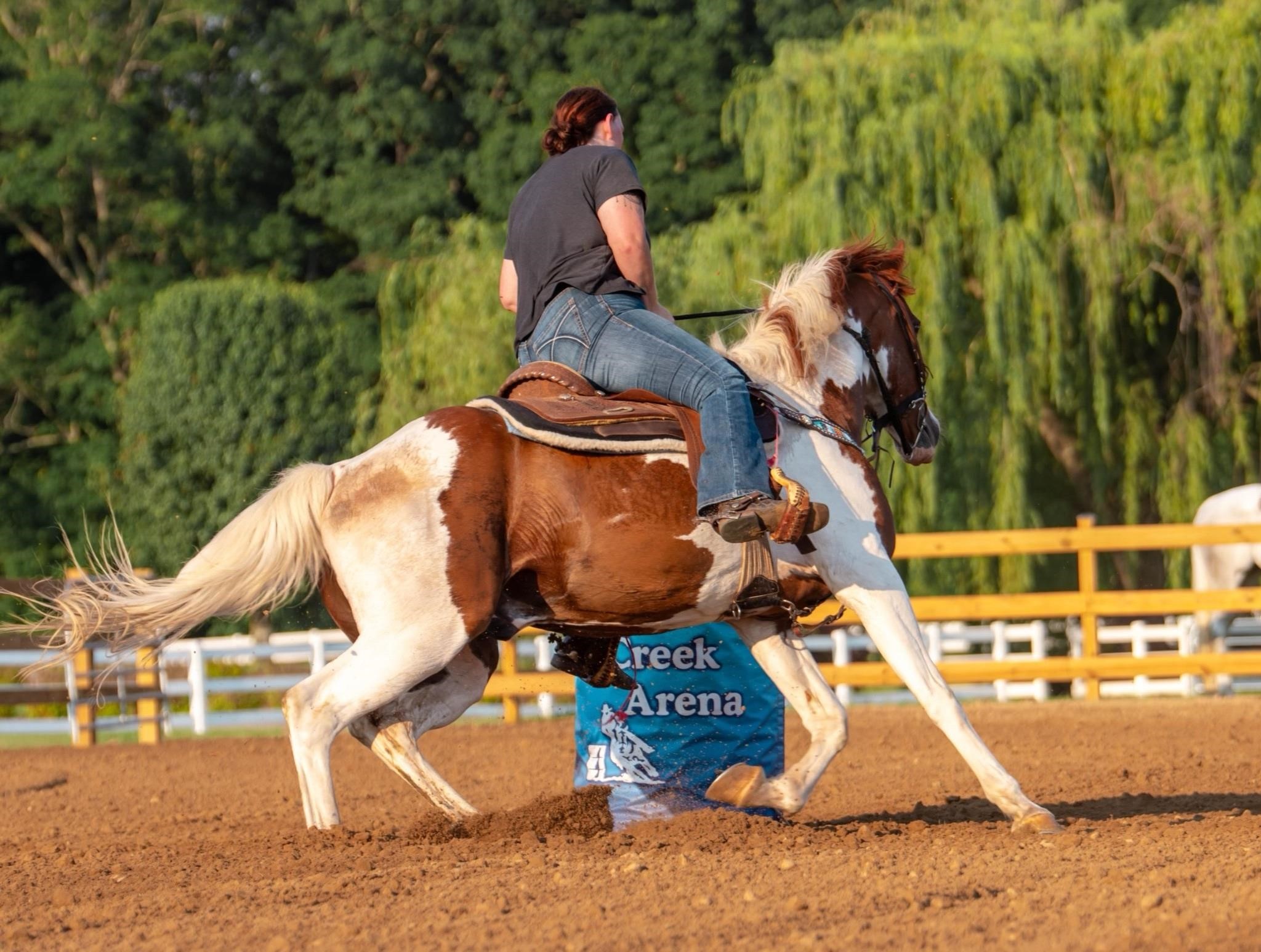 American Made Livestock Market RIDING HORSE SPECIAL