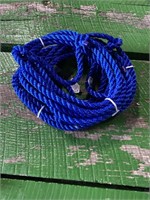 Blue Cattle Halters