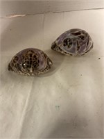 Decorative seashells