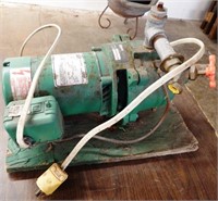 Myers Electric Water Pump