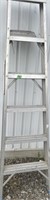 5 Step aluminum ladder