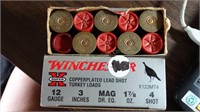 20 Winchester, Super X 12 ga, Mostly 3" Copper