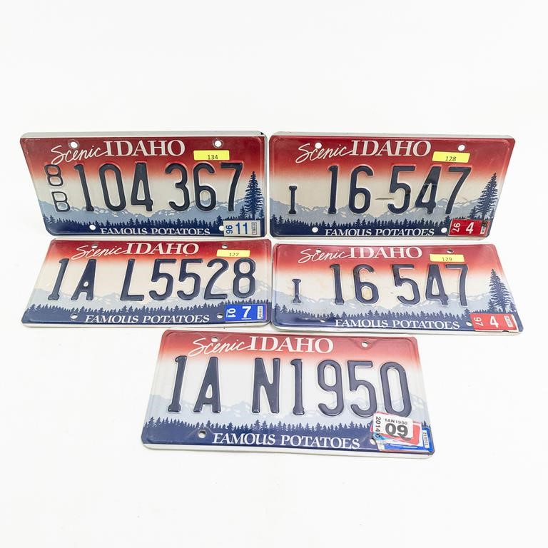 Impressive License Plate Collection - ONLINE ONLY