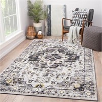 Coarir Area Rugs for Living Room, Stain Resistant