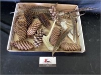 Antler, pine cone feather decor