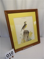 "Eastern Meadowlark" Print by Don Whitlatch