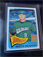 AUSTIN MEADOWS HERITAGE