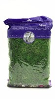 New Bag Spanish Moss Green Color