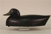 George Warin Black Duck Decoy, Ontario, Canada,