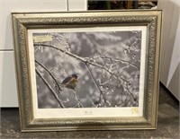 Framed Photograph of Bird