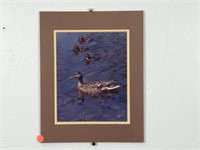 Duck Photograph 48" x 40.25"