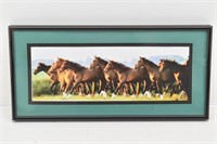 Framed Picture of Horses