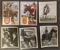 EQUESTRIAN, HORSES: 26 x Antique Tobacco Cards