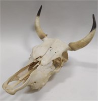 Buffalo / Bull Skull
Measures approximately 23"