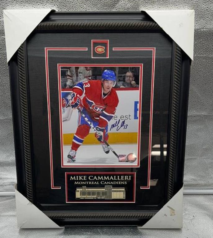 Mike Cammalleri 23x18in signed framed picture