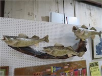 EXTREMELY UNIQUE TRIPLE FISH MOUNT ON DRIFTWOOD