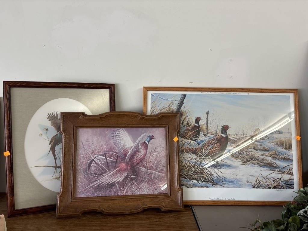 3 Pictures - Pheasants - one signed