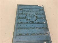 The water babies 1910 by Charles Kingsley