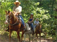 2 hour trail ride for up to 3 people