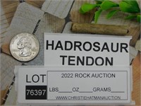 HADROSAUR TENDON FOSSIL ROCK STONE LAPIDARY SPECIM