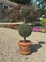 Artificial Topiary In Terracotta Pot