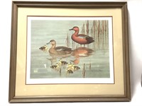 Wm Zimmerman Duck Print "Nesting Ground"