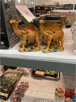 Iraq Camels Lot