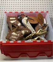 Tote of Women's Shoes