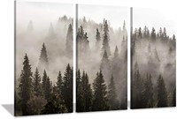 $45 Hardy Gallery Amazing Foggy Forest