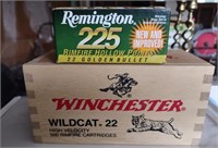 Remington 225 count & Winchester Wildcat 22lr
