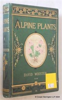 ALPINE PLANTS by David WOOSTER 1874