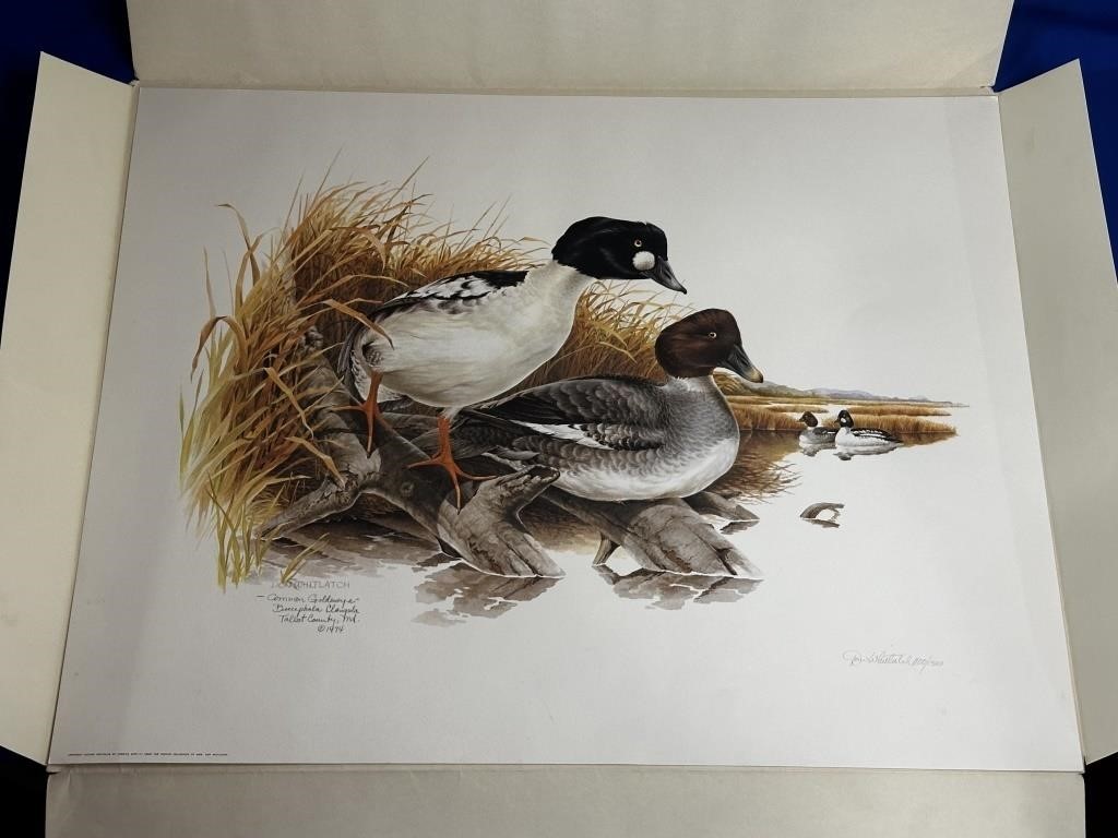 FIREARMS, DUCKS UNLIMITED DECOYS & PRINTS, AMMO, & MORE
