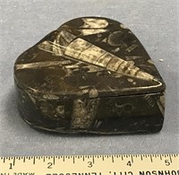 4" heart shape box with orthocerus fossils embedde