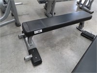 Precor Flat Bench