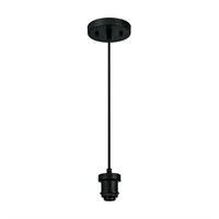 Westinghouse Lighting 6346814 One-Light Black Pend