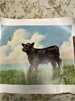 American Angus posters 1981 1982