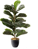 Royal Imports Fiddle Leaf Plant  28 Tall