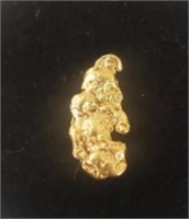 Natural Alaska Gold Rush Nugget #5