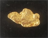 Natural Alaska Gold Rush Nugget #1
