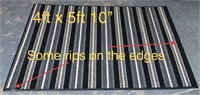 4 ft x 5 ft 10 in Striped Area Rug