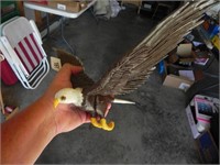 Hand Carved Eagle